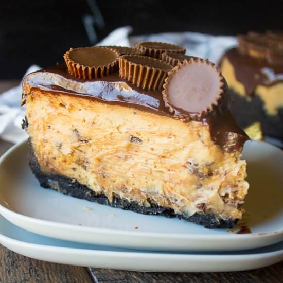 Peanut Butter Cup Cheesecake