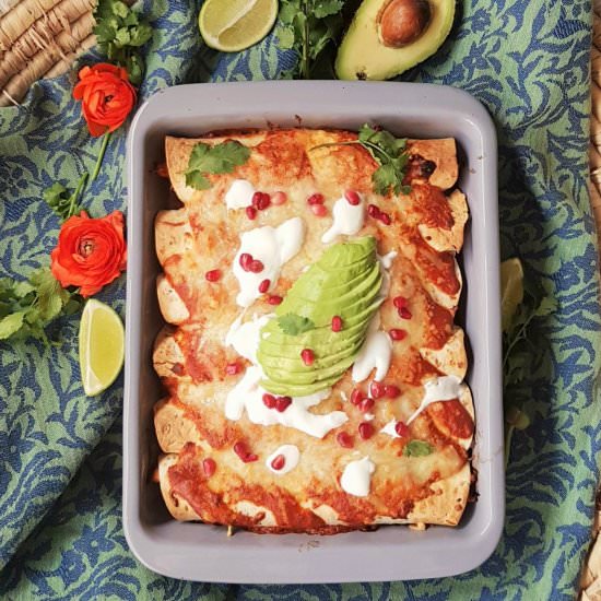 Buffalo Pulled Chicken Enchiladas