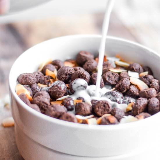 Chocolate Coconut Cereal