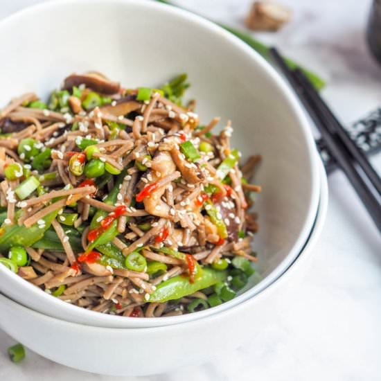 Vegan Soba Noodle Stir Fry