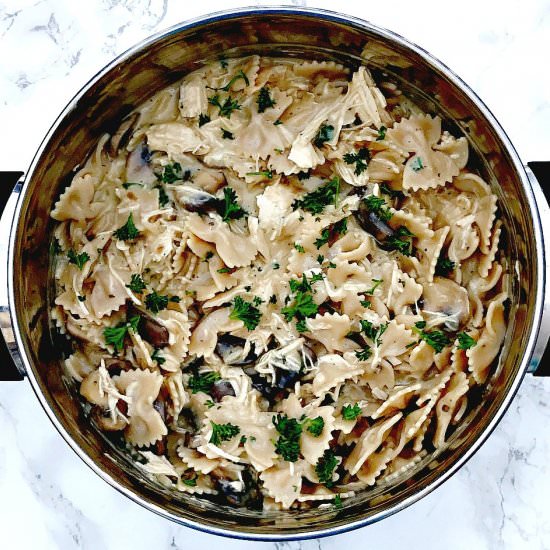 Slow Cooker Chicken Stroganoff