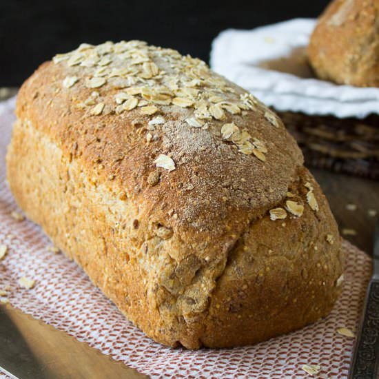 Whole Wheat Multigrain Bread
