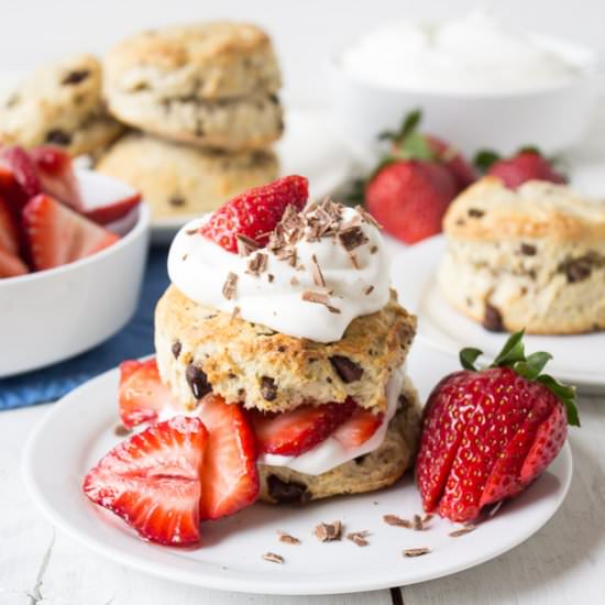 Strawberry Chocolate Shortcake