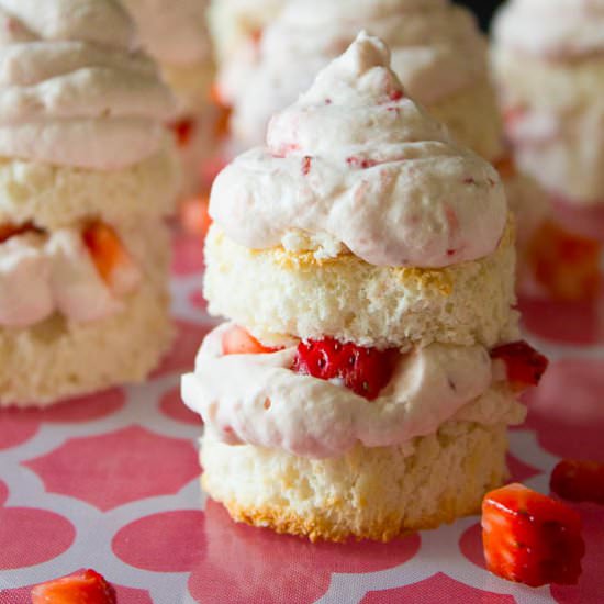 Angel Food Cupcakes