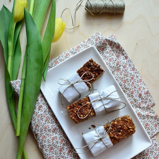 Vegan Banana Oatmeal Bars