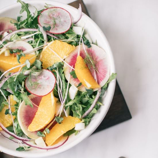 Orange, Radish and Fennel Salad