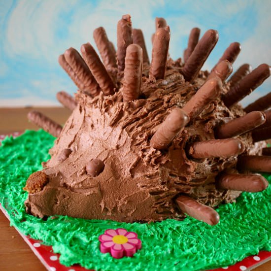 Hedgehog Cake