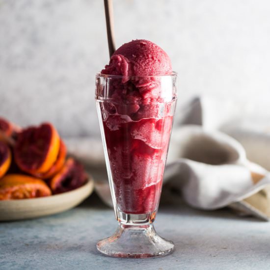 Blood Orange Sorbet