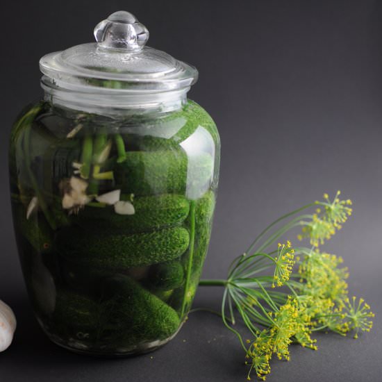 Pickled Cucumbers – Russian Style