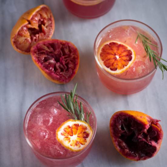 Blood orange gin and tonics