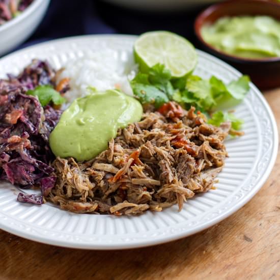 Instant Pot Barbacoa Pulled Pork