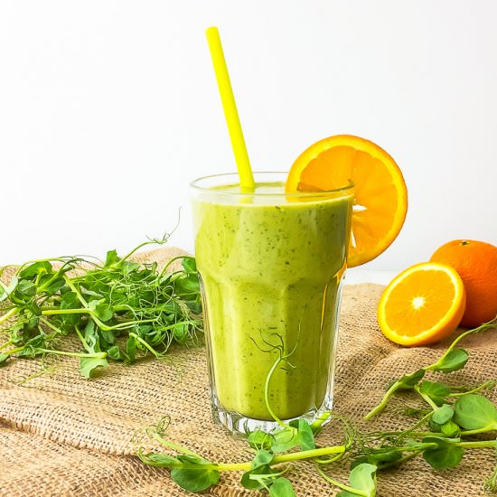 Spring Green Smoothie