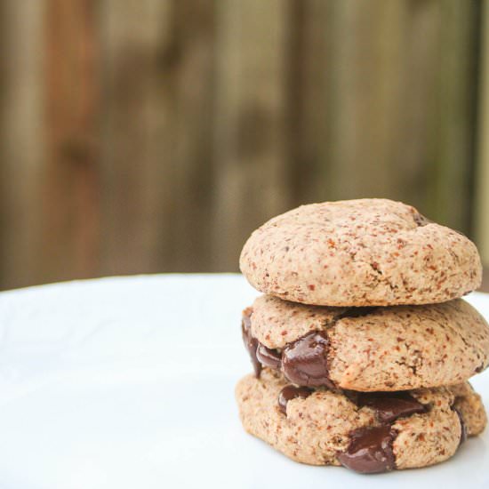 Almond Meal Chocolate Chip Cookies