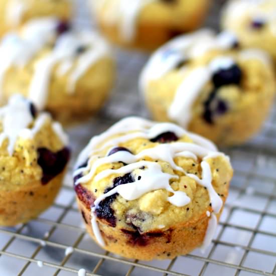 Paleo Lemon Blueberry Muffins