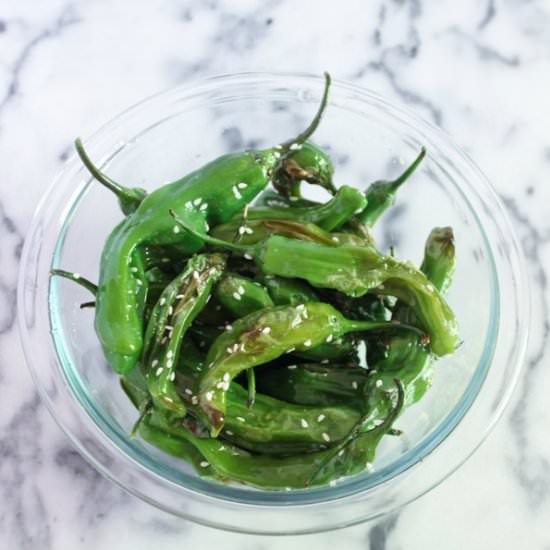 Blistered Shishito Peppers