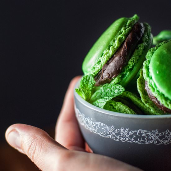 Mint Chocolate French Macarons