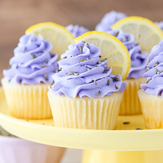Lemon Lavender Cupcakes