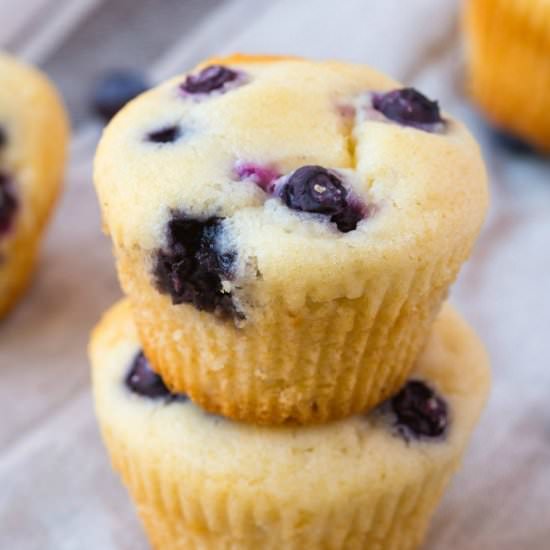 Fat Free Blueberry Muffins