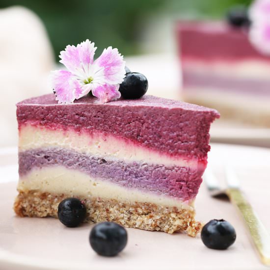 Beetroot & Blueberry Cheesecake