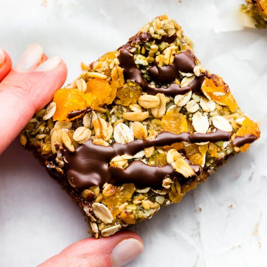 No Bake Apricot Oat Protein Bars