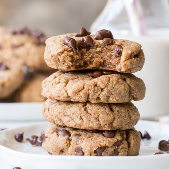 Soft Chocolate Chip Cookie