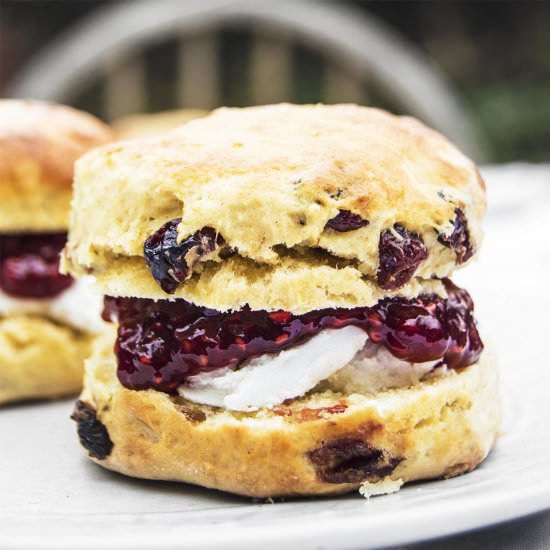 Vegan Cranberry Scones