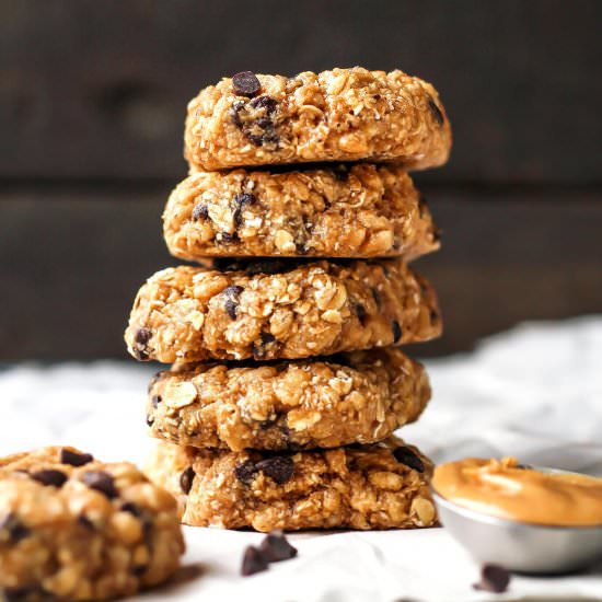 Chewiest Chocolate Chip Energy Bars