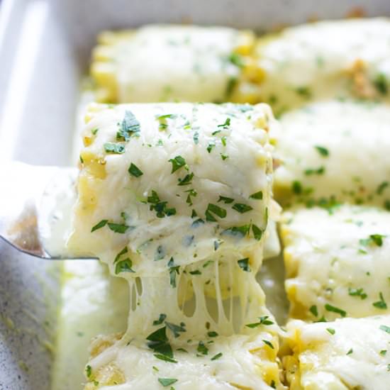 Lasagna Roll Ups