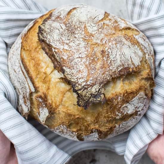 No-Knead Bread Two Ways