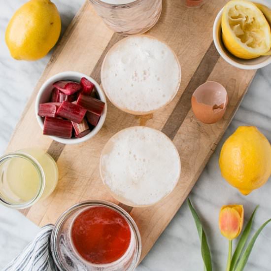 Rhubarb Pisco Sour