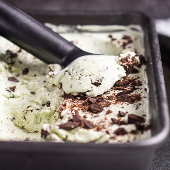 Mint Chocolate Chip Ice Cream