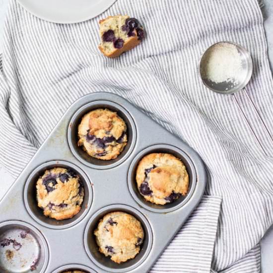 AP Paleo Flour Blend & Muffins