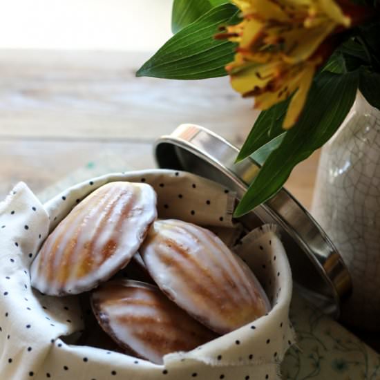 Lemon Poppyseed Madeleines