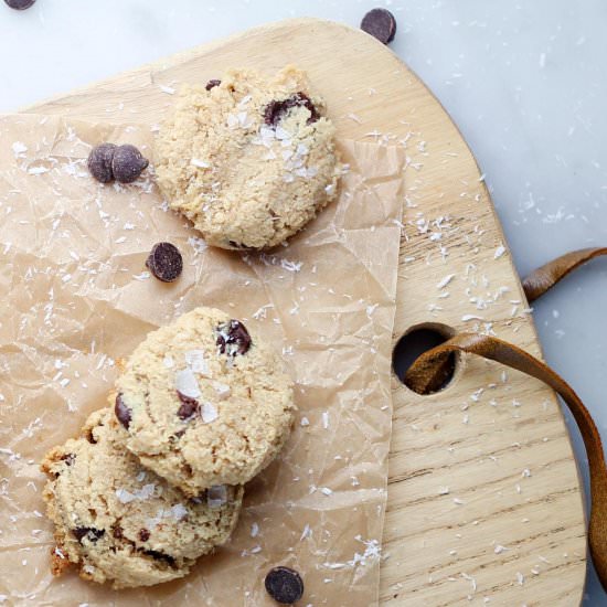 Passover Chocolate Chip Cookies