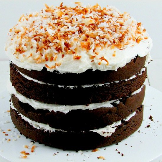 Chocolate Coconut Cake