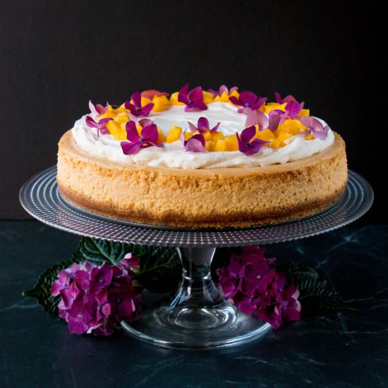 Mango Cheesecake