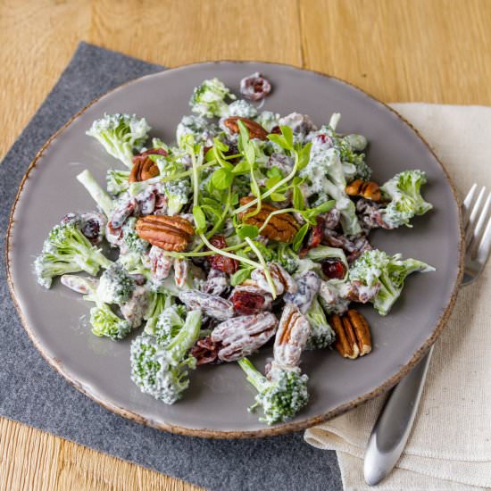 Cranberry Pecan Broccoli Salad