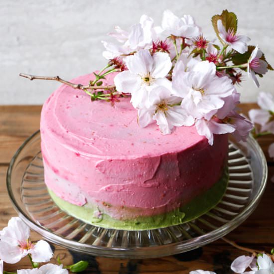 Raspberry Matcha Celebration Cake