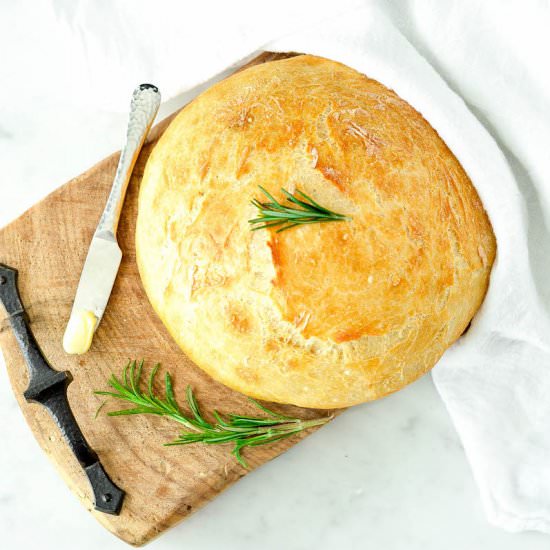 Easy No Knead Bread