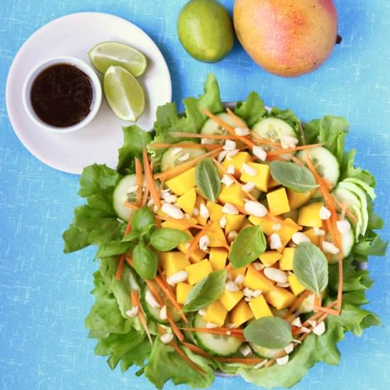 Vegan Thai Mango Salad