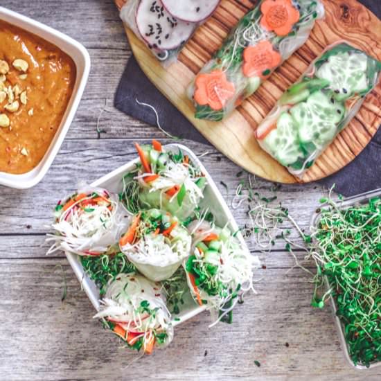 Veg Summer Rolls + Peanut Sauce