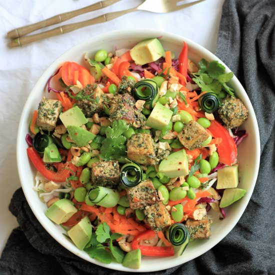Coconut Cabbage Salad w/ Pesto Tofu