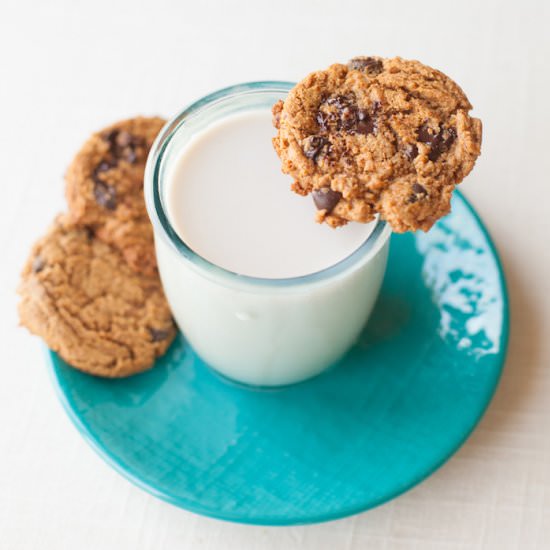 Chocolate Chip Almond Butter Cookie