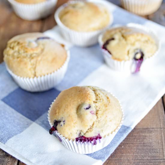 Vegan Fresh Blueberry Muffins