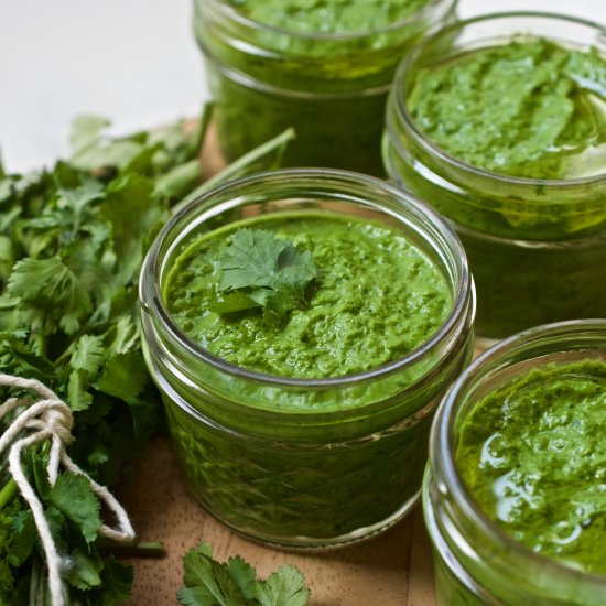 Cilantro Garlic Chutney