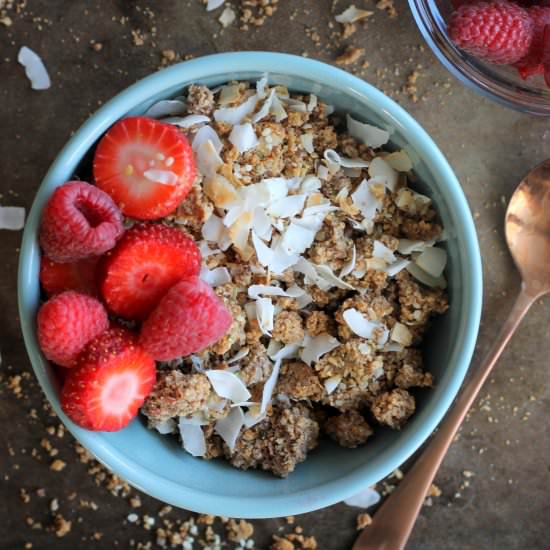 Grain Free Coconut Granola