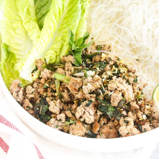 Thai Pork Salad with Kelp Noodles