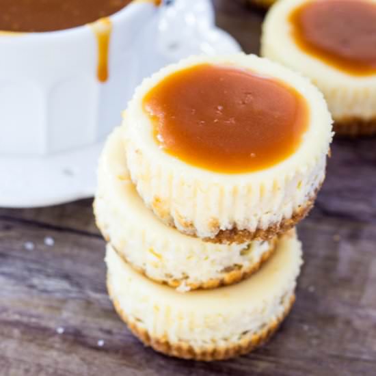 Mini Cheesecakes with Caramel Sauce