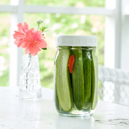 Spicy Quick Pickled Cucumbers