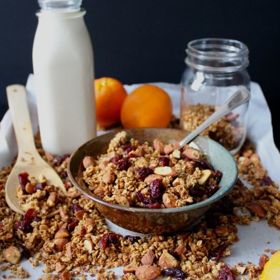 Orange Cranberry Granola